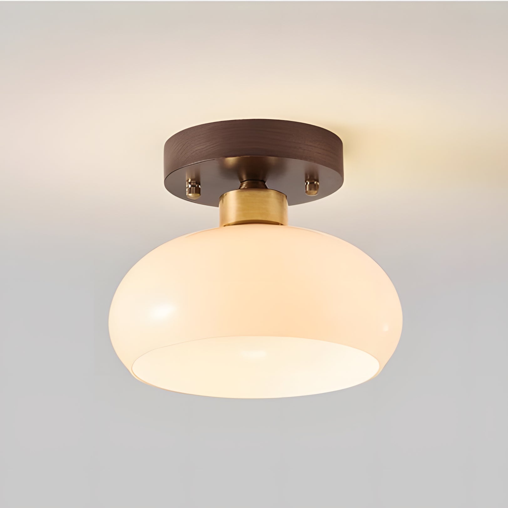 Otis Minimalistische niedrige Kuppelglas-Deckenleuchte 11.webp__PID:eccfbf2a-934a-40d1-ae31-19c5111dd148
